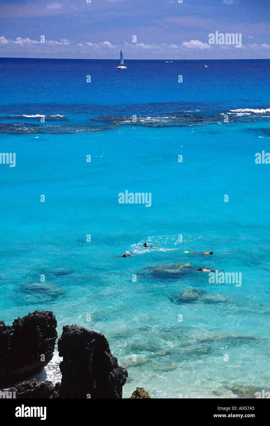 Snorkeling in one of Bermuda beautiful bays Stock Photo Alamy
