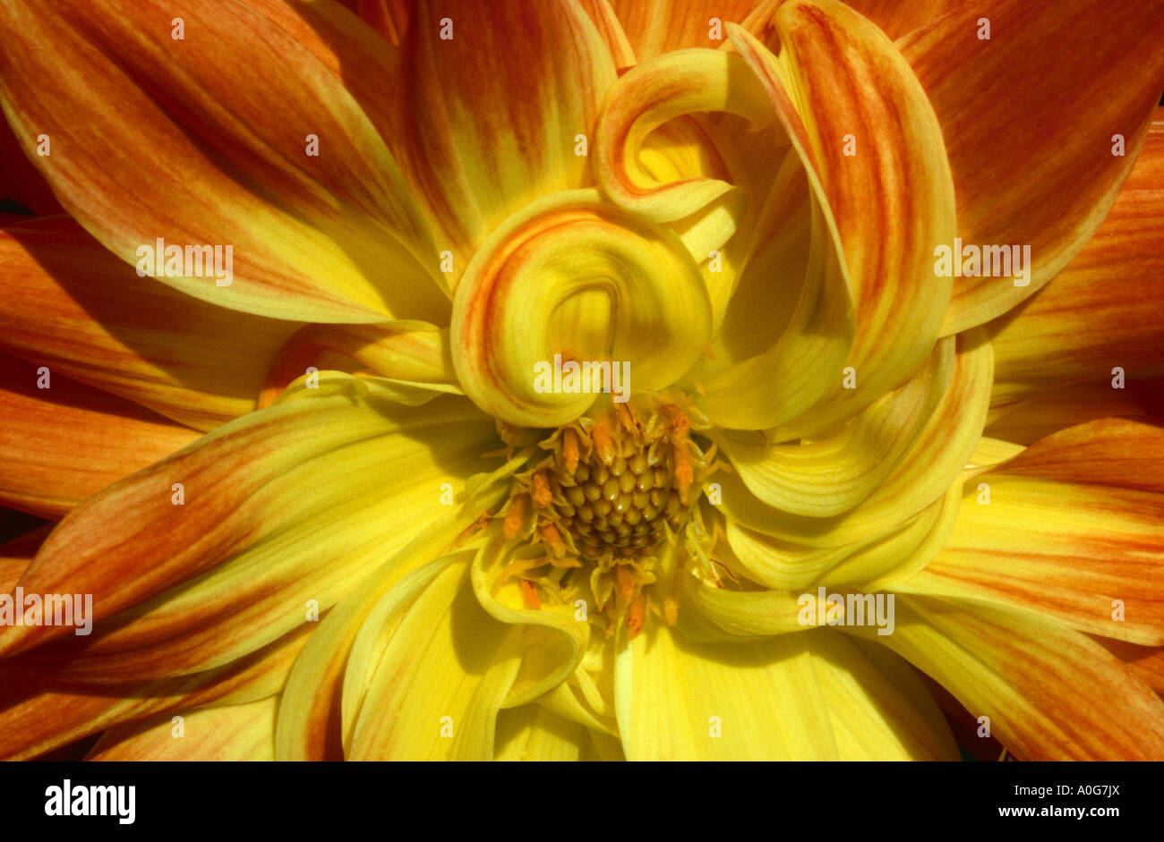 Oyster bay long island hires stock photography and images Alamy