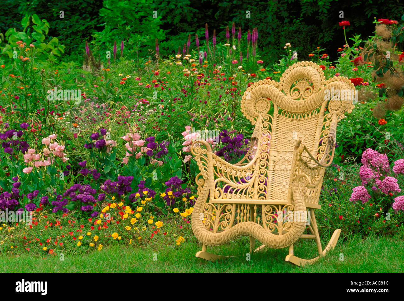 fancy and fanciful wicker rocking chair in pastel flower garden ...