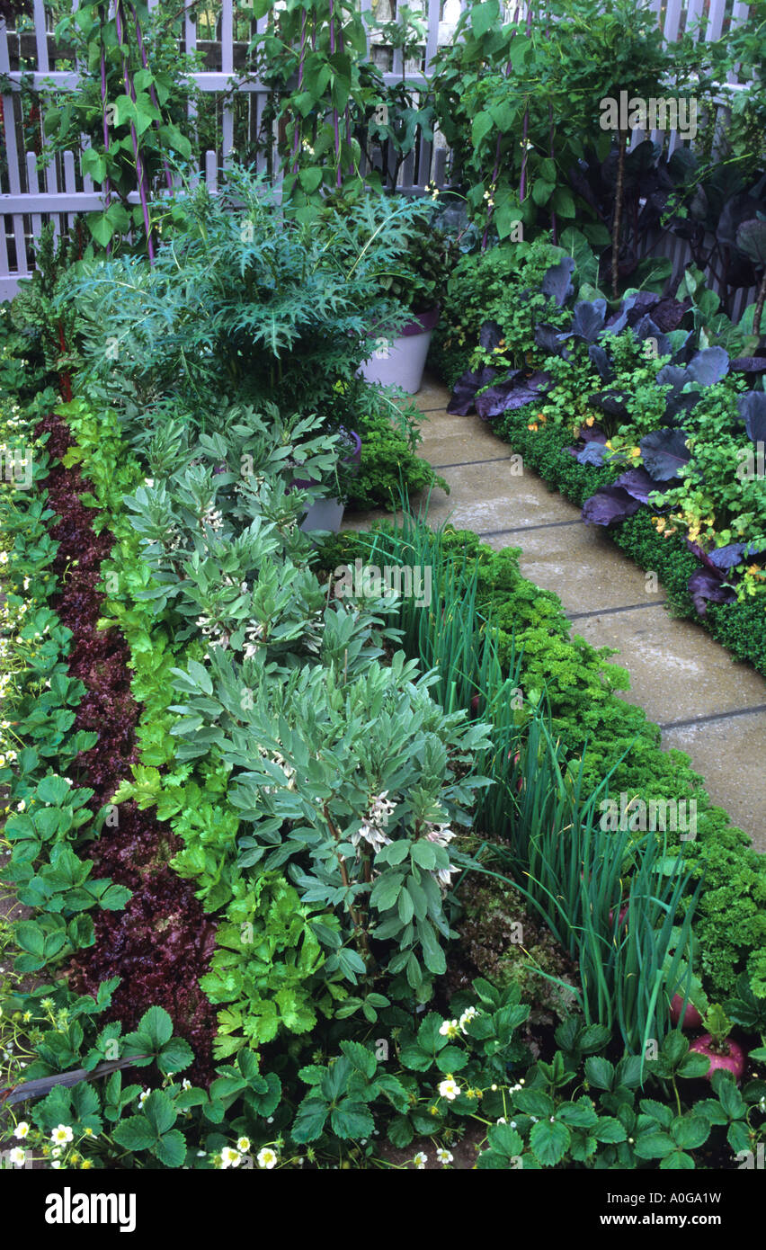 Chelsea FS 1994 Kitchen vegetable garden Small potager Path rows boxwood hedge Stock Photo