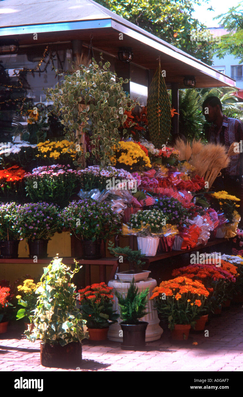 Ipanema flower discount