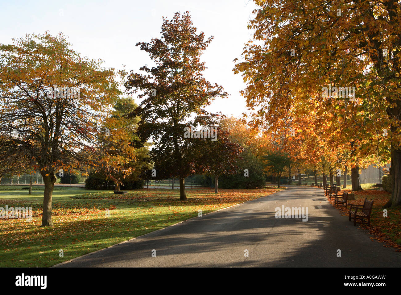 Cannon Hill Park Birmingham England UK Stock Photo Alamy