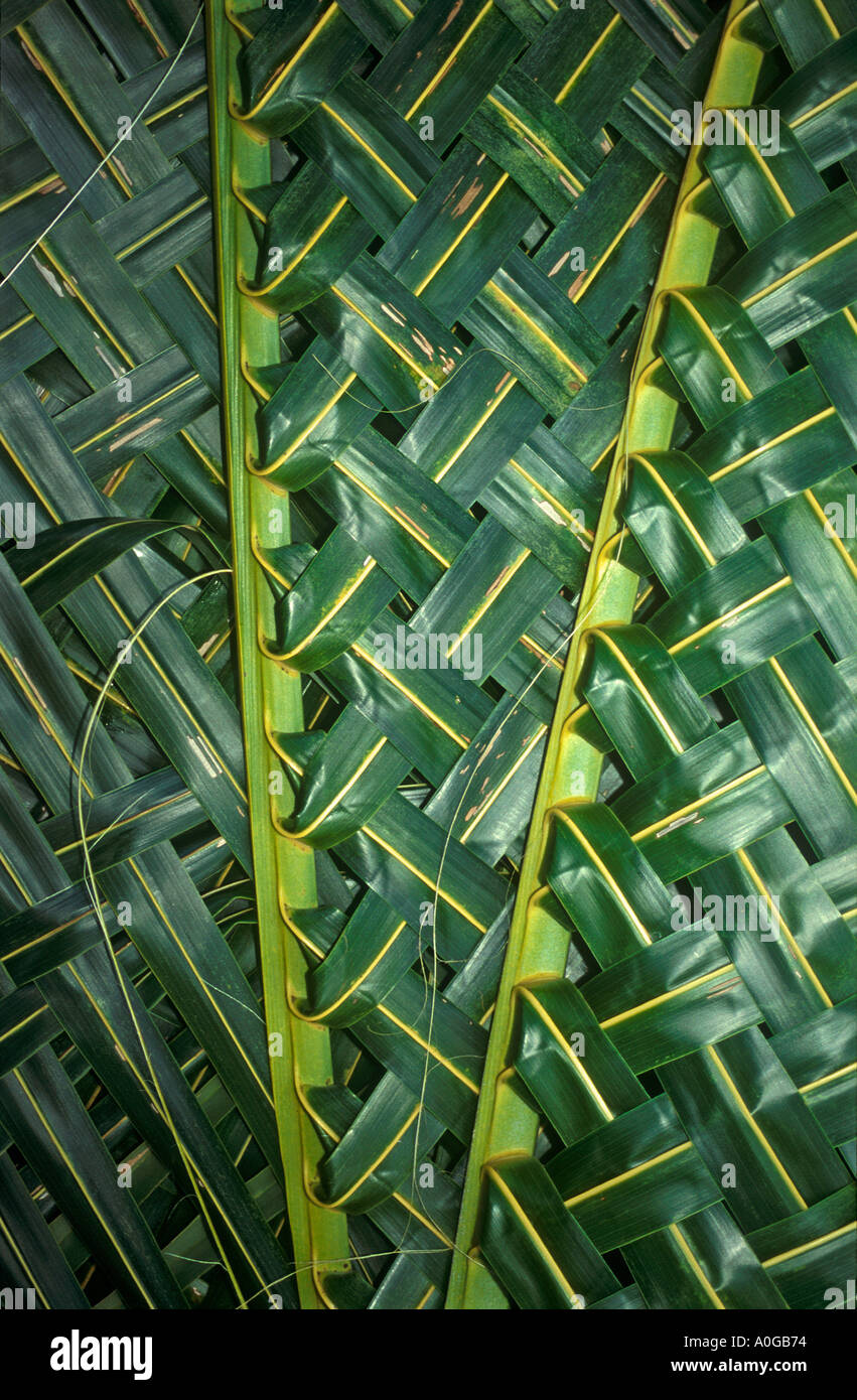 Woven palm fronds Stock Photo