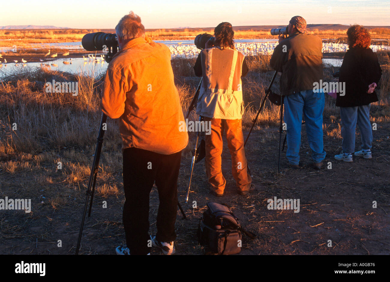 Photographers at the Bosque del Apache wildlife refuge near Albuquerque New Mexico USA Stock Photo