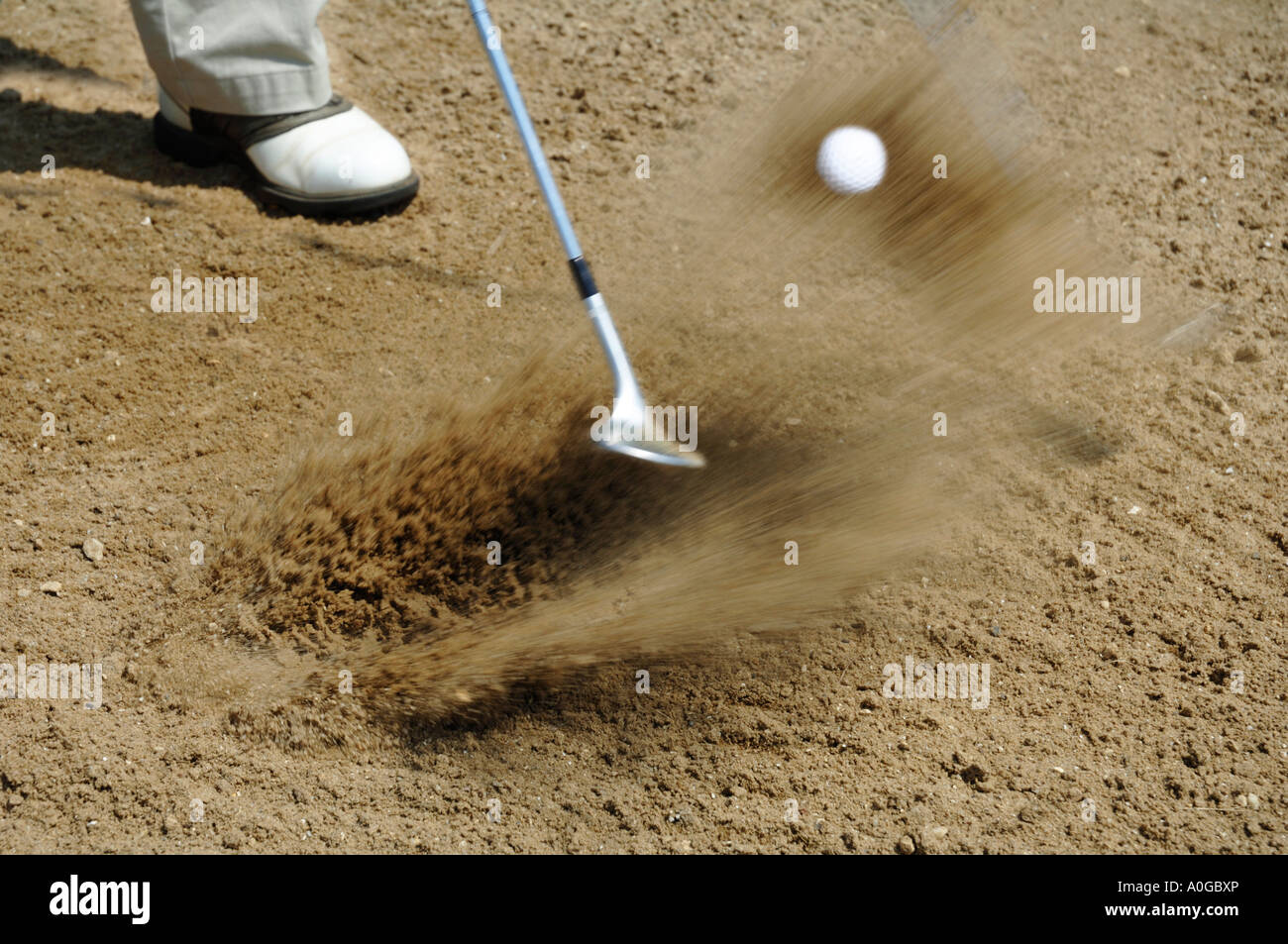 Golfer using sand wedge to hit ball out of bunker Stock Photo Alamy