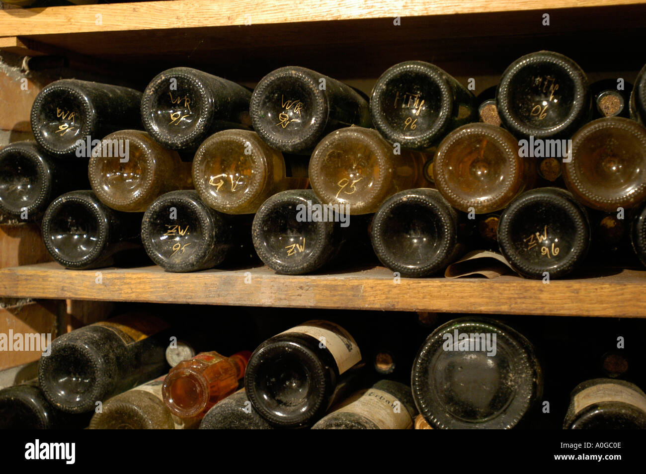 wine cellar Stock Photo