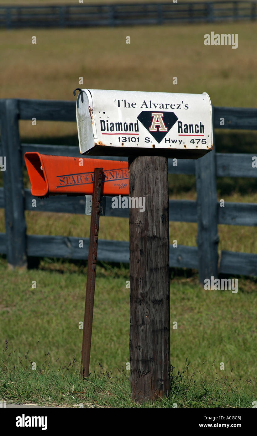 Mailbox on roadside USA Mail box Letterbox and the orange coloured