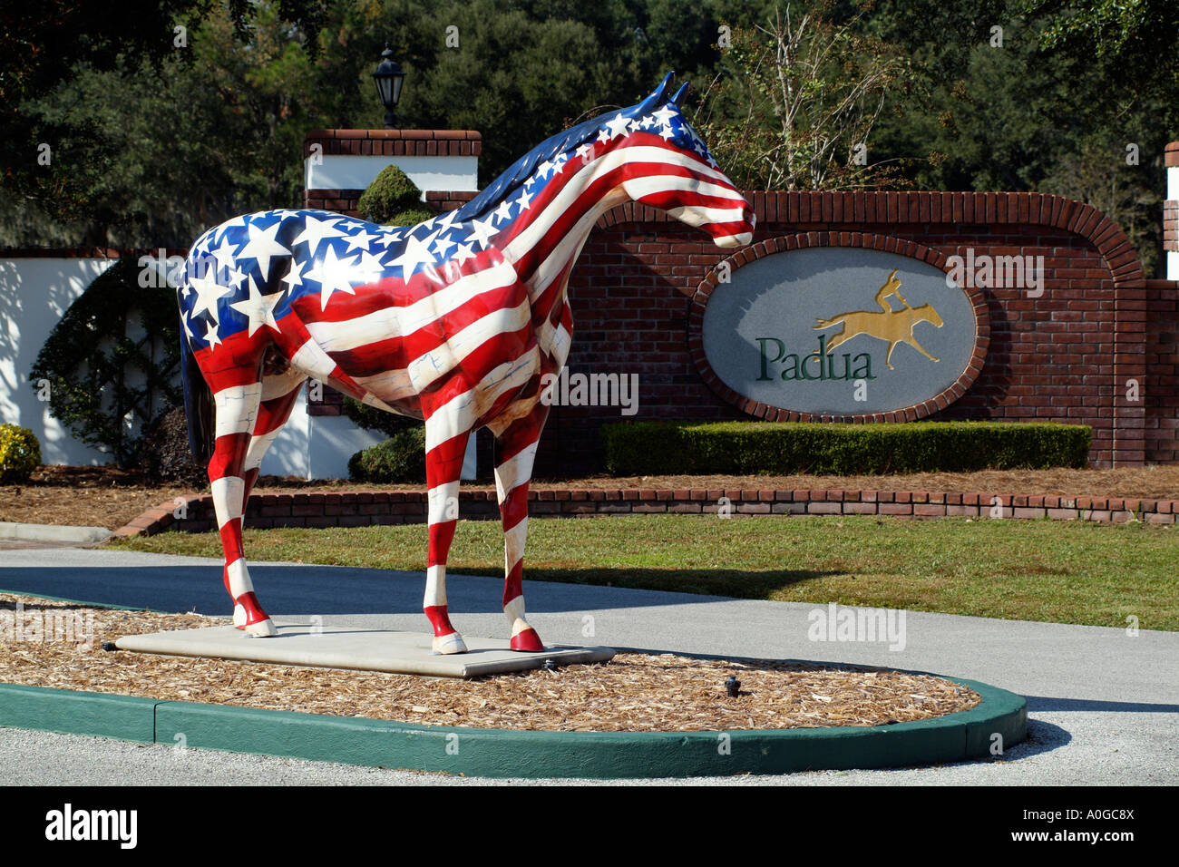 Painted horse at Padua Stables in Ocala Florida USA Stock Photo Alamy