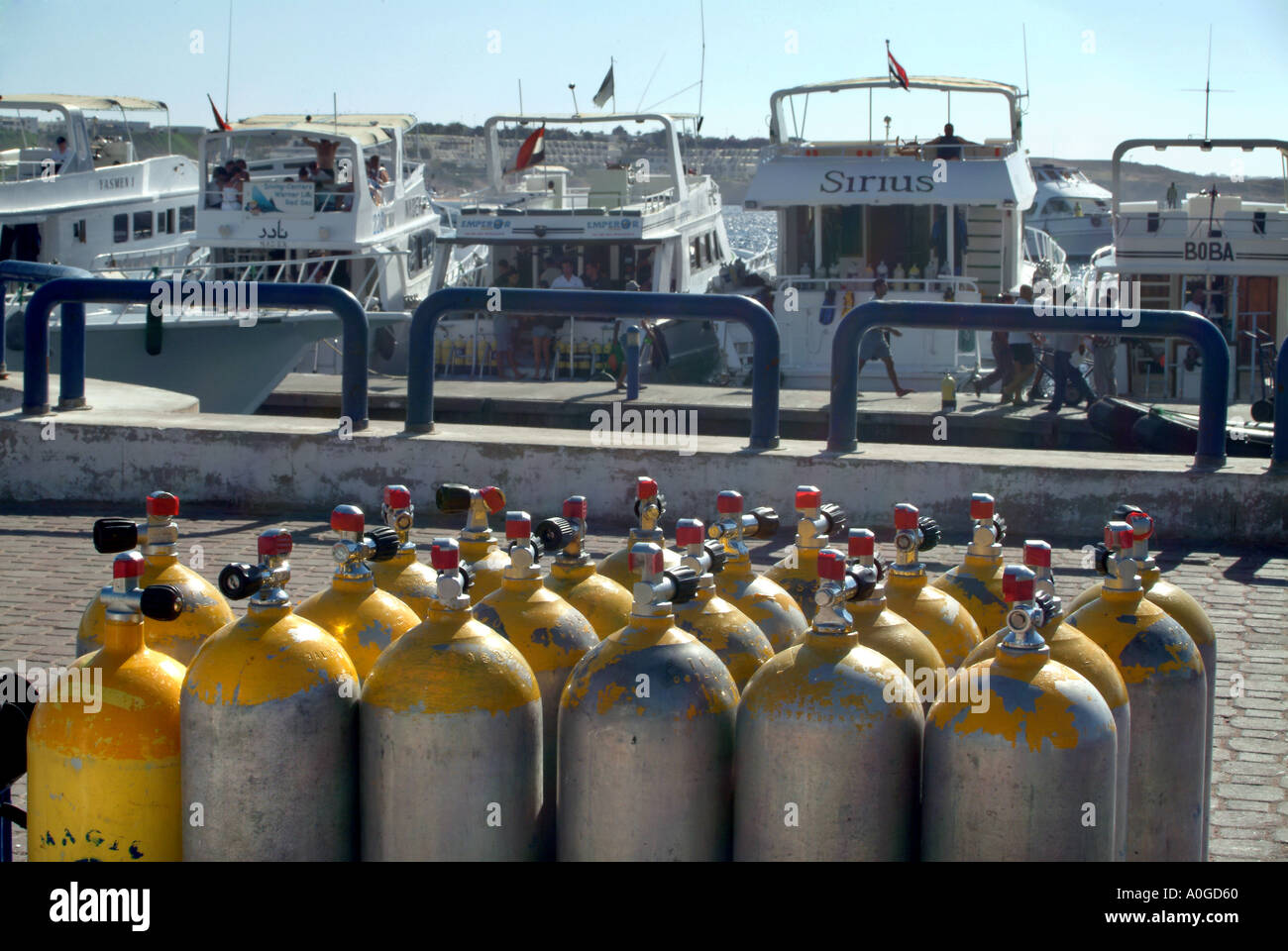 Air bottles waiting to be loaded onto dive boats at Naama Bay Sharm El