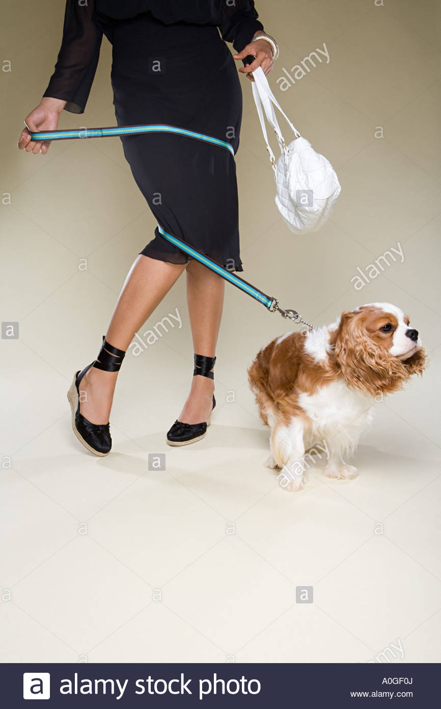 Tangled Up Stock Photos & Tangled Up Stock Images Alamy