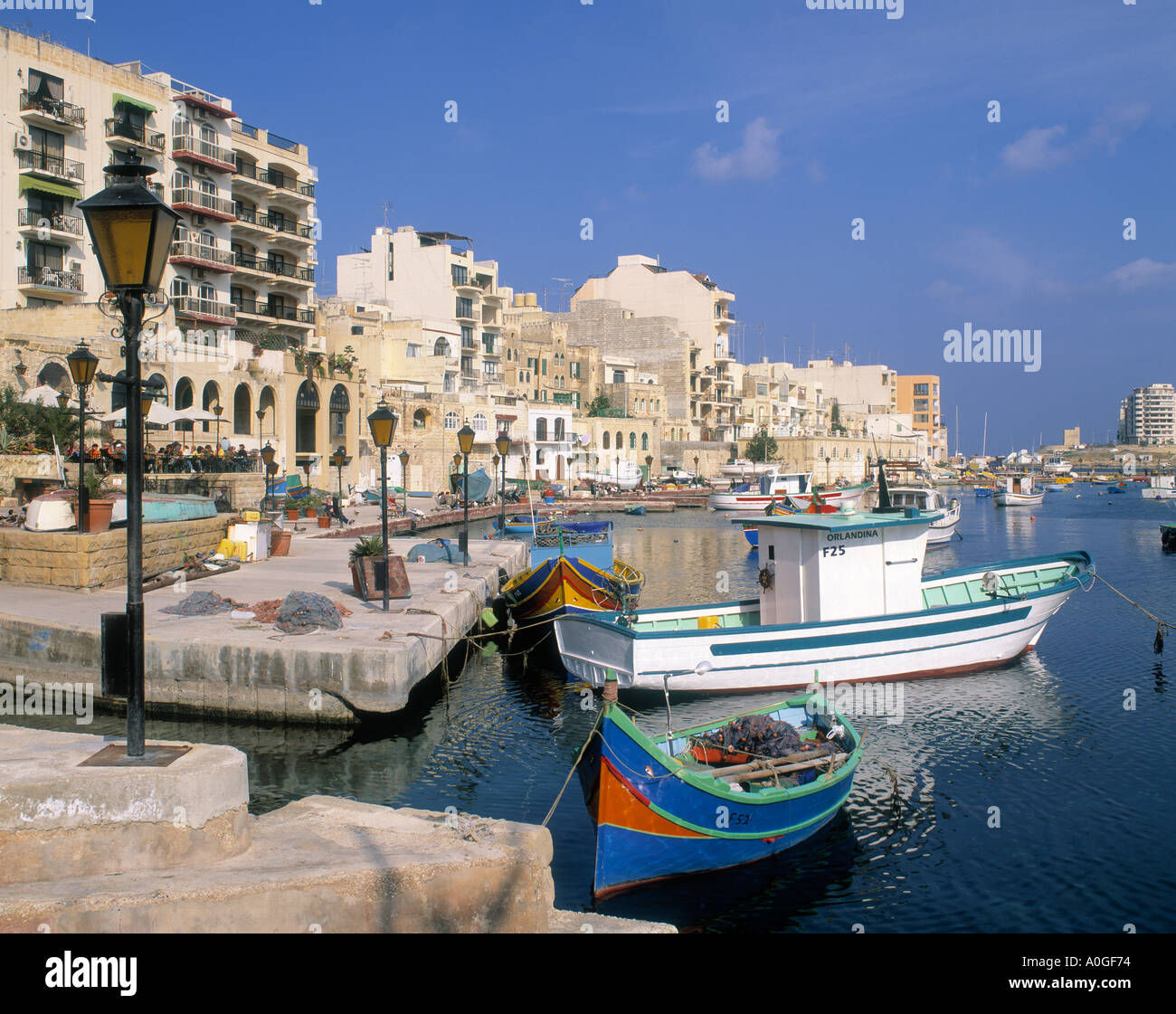 My Image 22