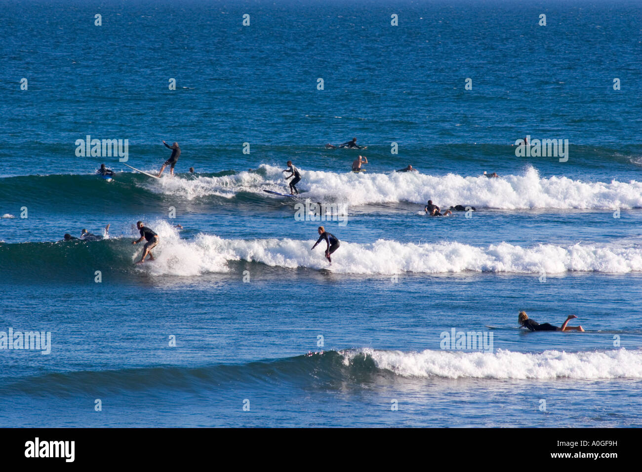 Surfrider beach deals