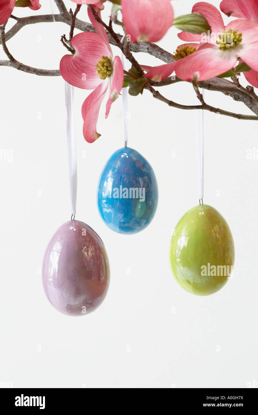 Eggs hanging from a tree Stock Photo