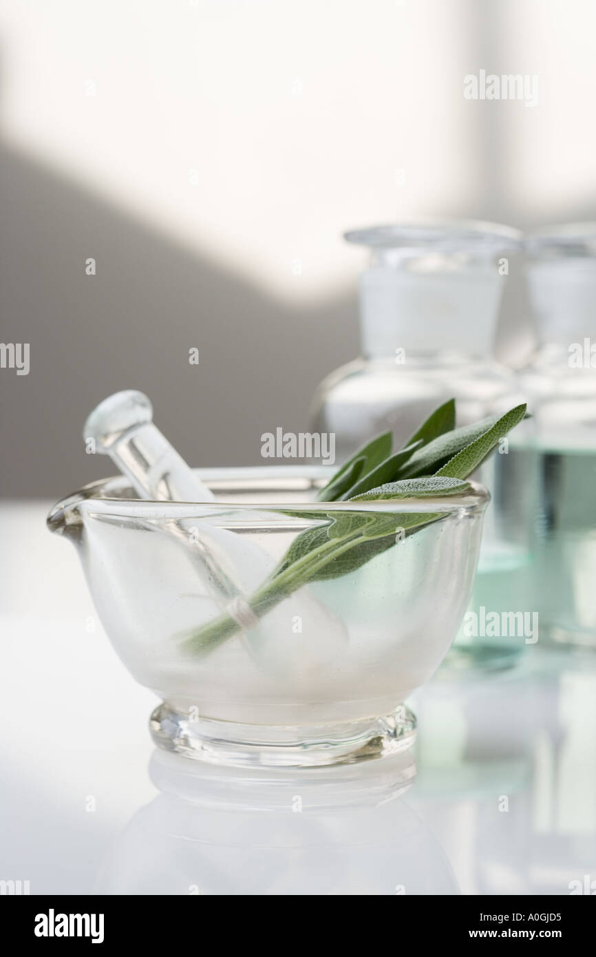 Glass mortar and pestle with herbs Stock Photo Alamy