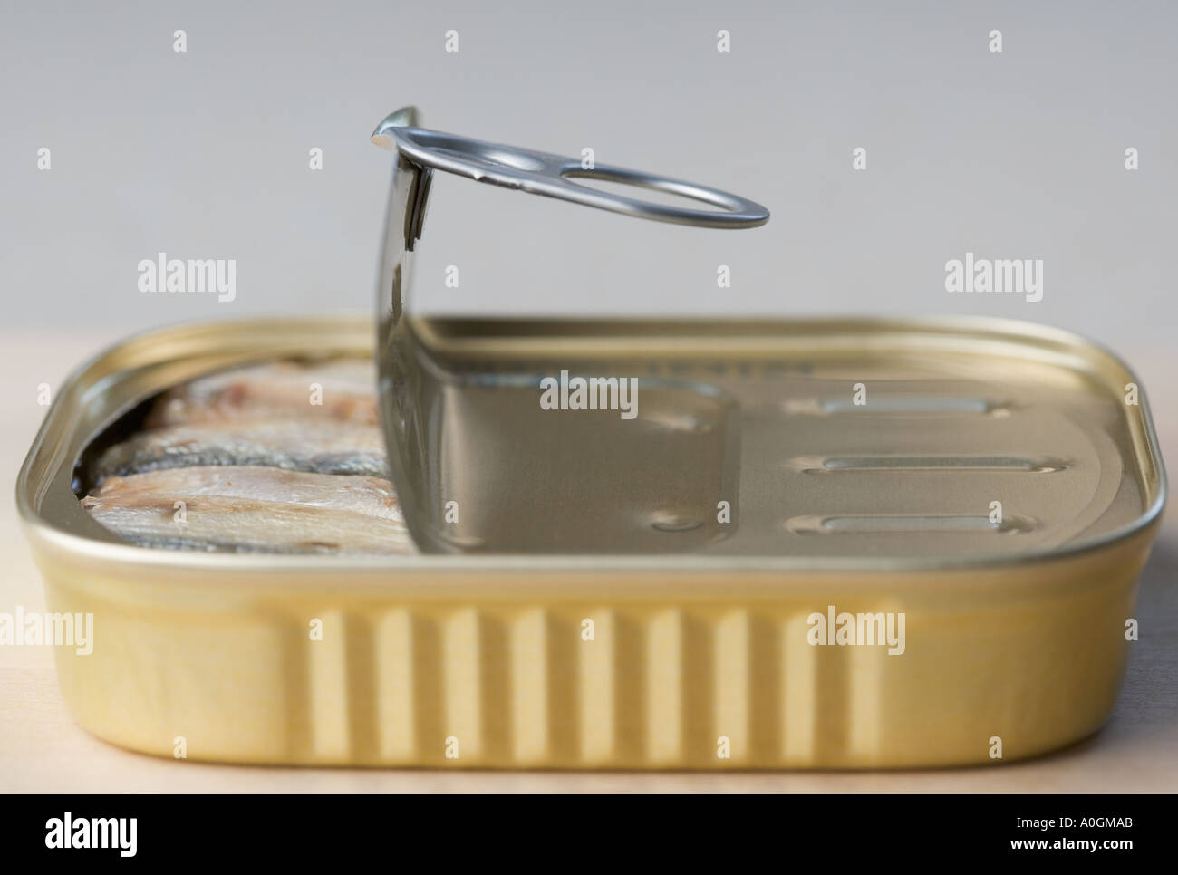 Can of sardines partly opened Stock Photo Alamy