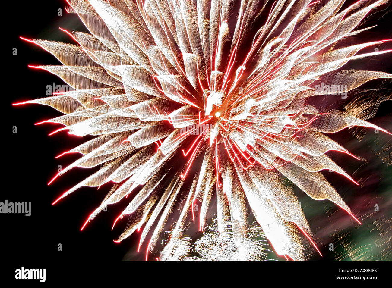 Looks like a dahlias flower but is a firework exploding in the sky
