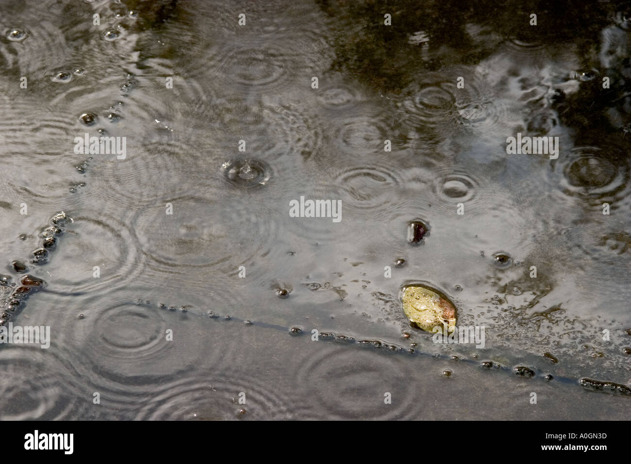 RAIN DROPS ON PATH WITH RIPPLES Stock Photo