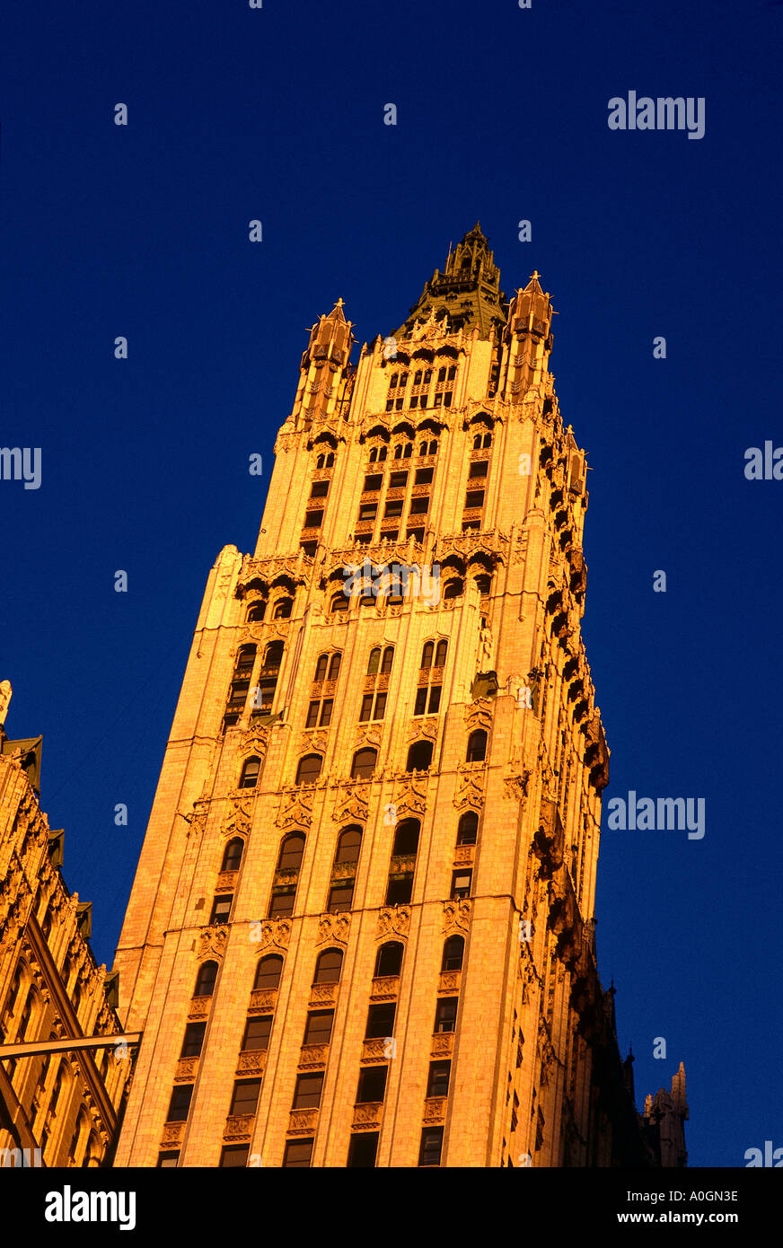 Woolworth building New York city Stock Photo Alamy