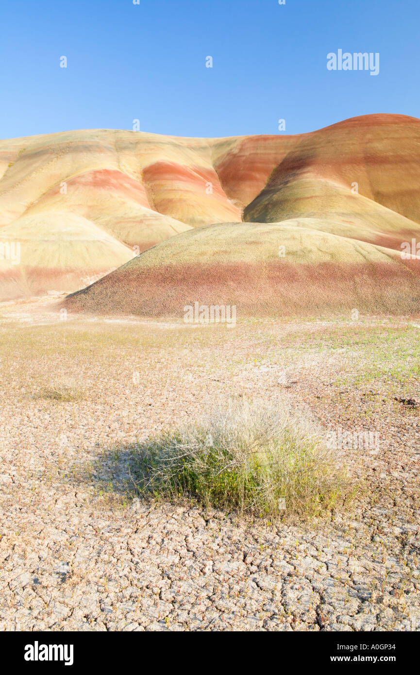 John day fossil bed national park hires stock photography and images Alamy