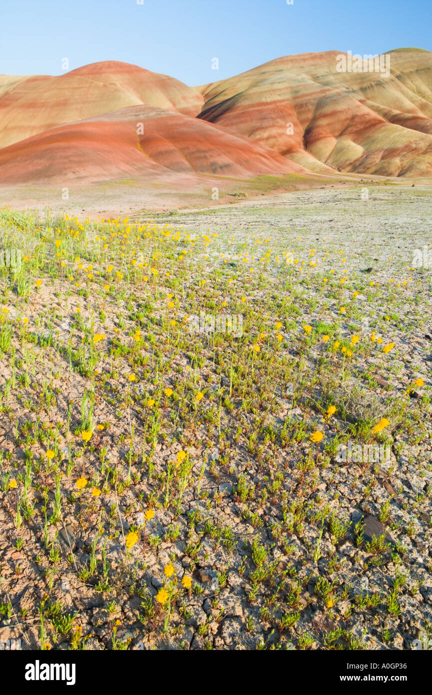 John day fossil bed national park hires stock photography and images