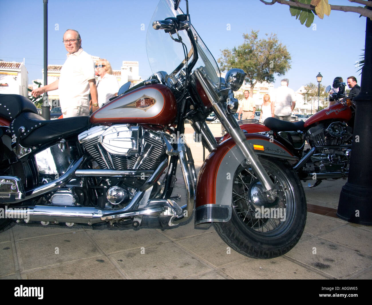 harley davidson bikedekho