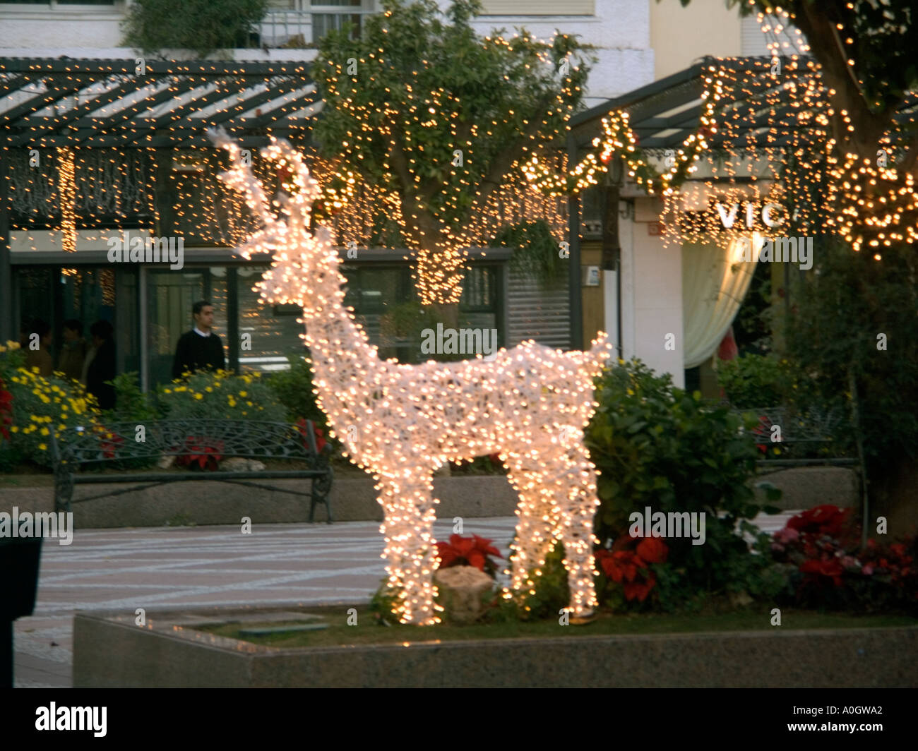 Wire Christmas Tree Frames - Best Decorations