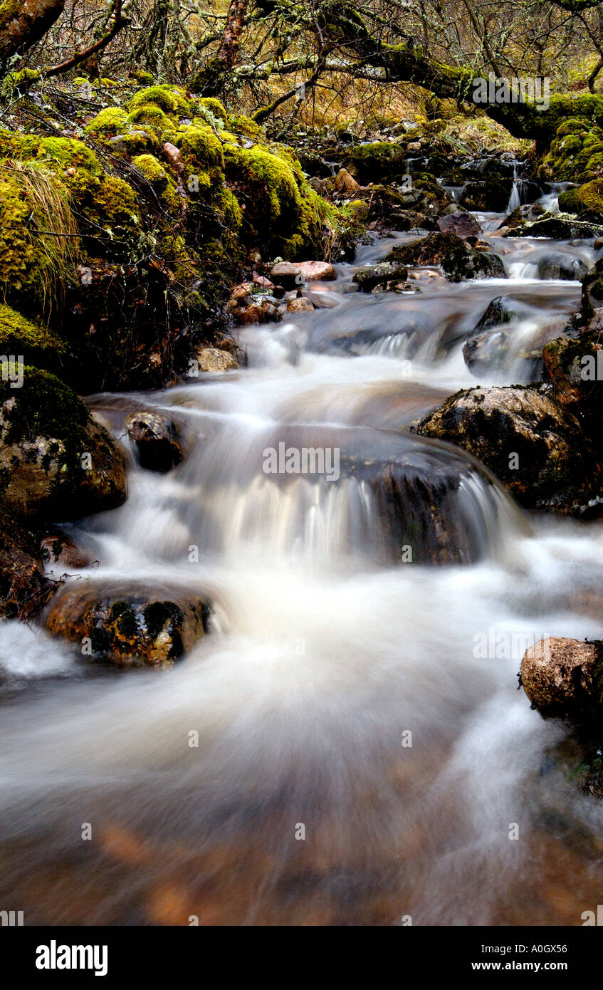 Clear water scotland whisky hi-res stock photography and images - Alamy