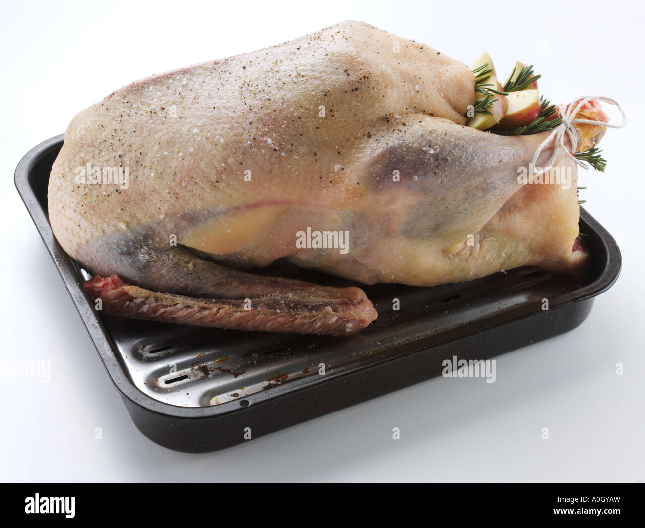 Oven ready xmas goose roasting tray hires stock photography and images