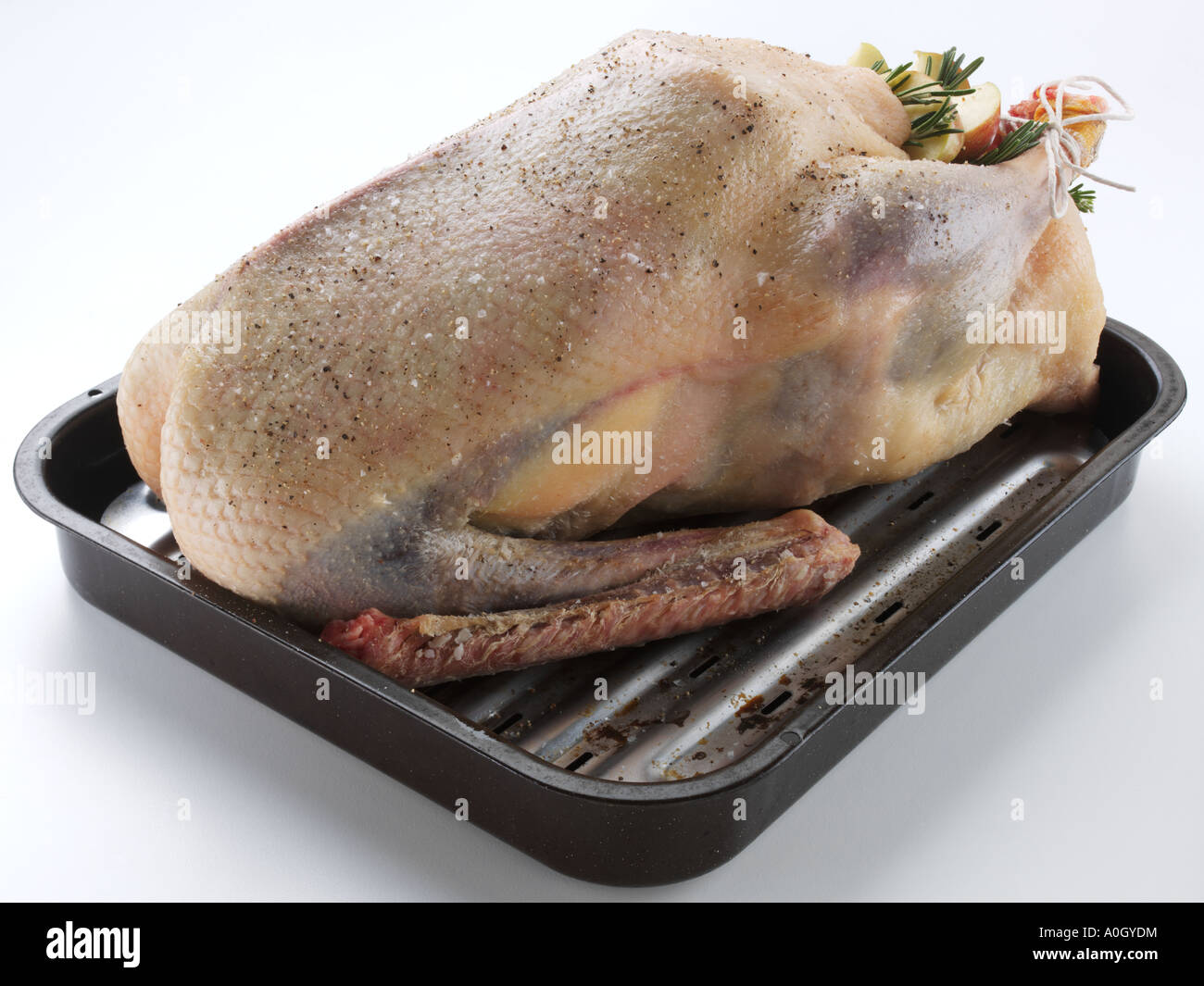 Oven ready xmas goose roasting tray hires stock photography and images