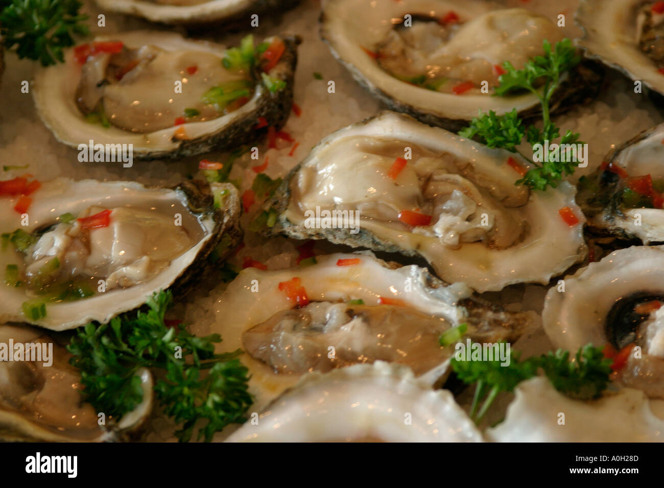 Oysters on the Half Shell Stock Photo - Alamy