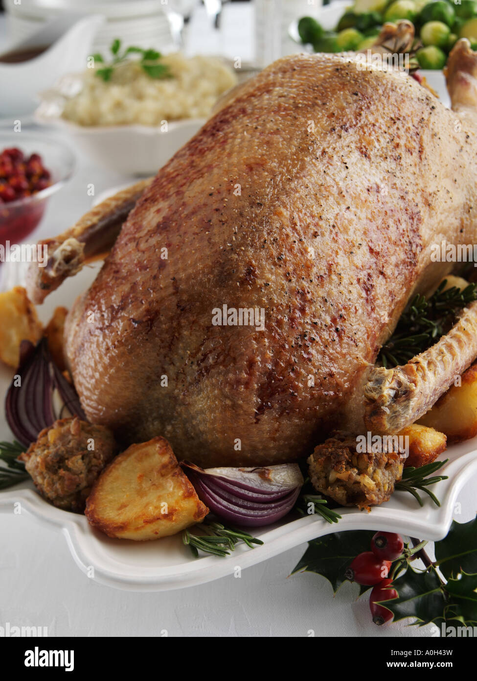 Roast Goose sprouts jerusalem artichoke puree Stock Photo Alamy