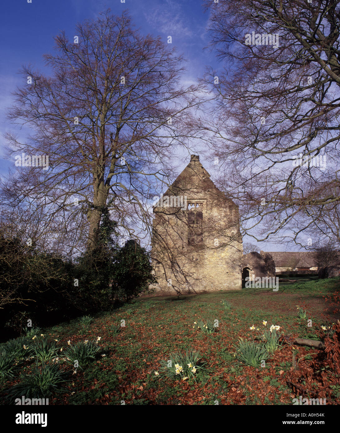 Early spring at Minster Lovell with the ruined Manor House beside the river windrush in the cotswolds Stock Photo