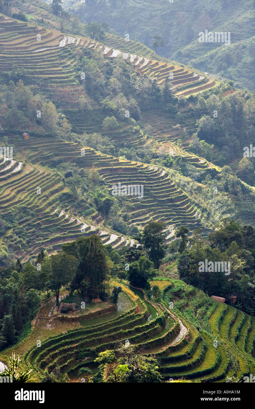 Penninsula farm in the rice terraces, Pan Zhi Hua, Yuanyang, Yunnan, China Stock Photo
