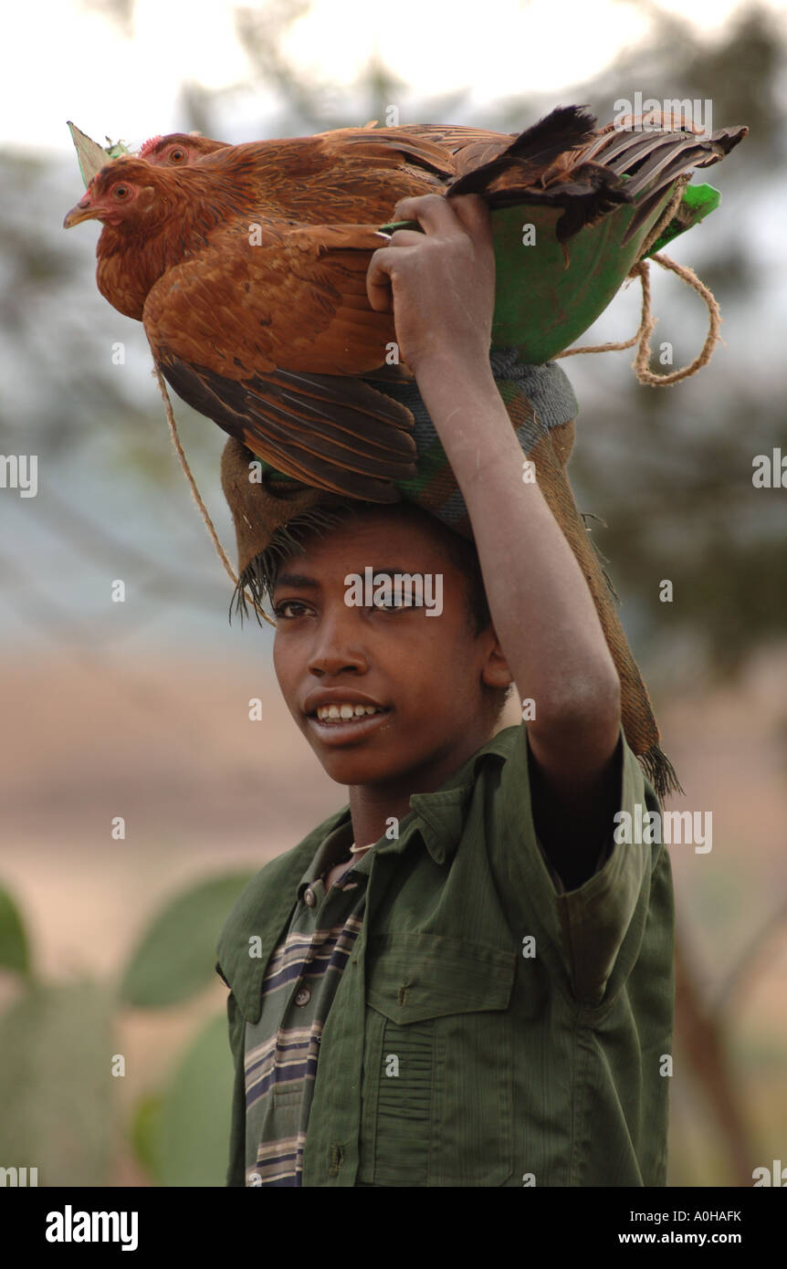 Gondor in Ethiopia Africa Stock Photo Alamy