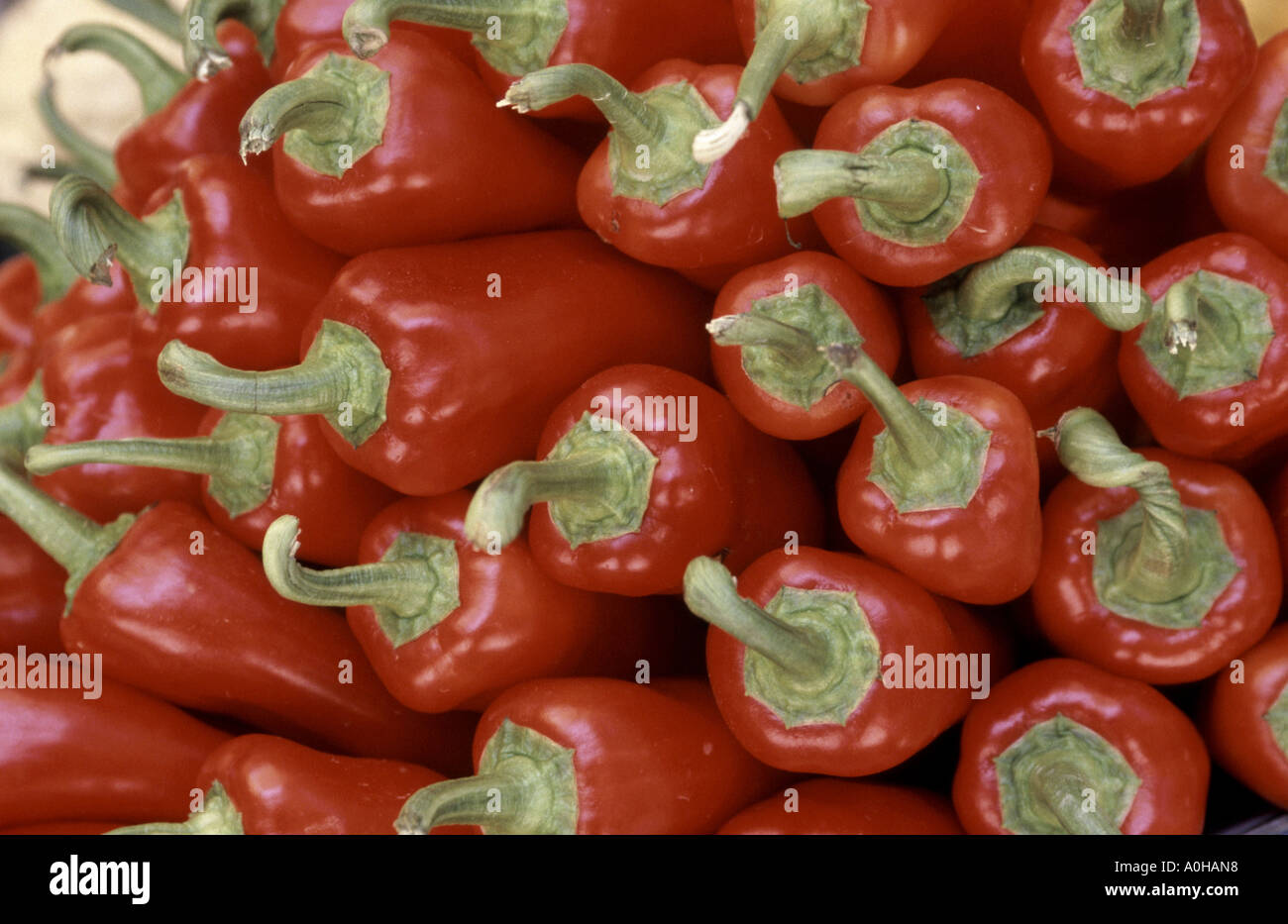 Bell peppers chili peppers hi-res stock photography and images - Alamy