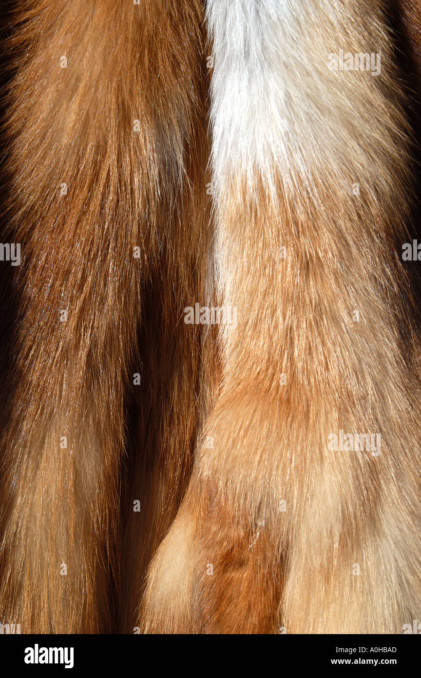 Fur at the Kauppatori Helsinki Finland Stock Photo