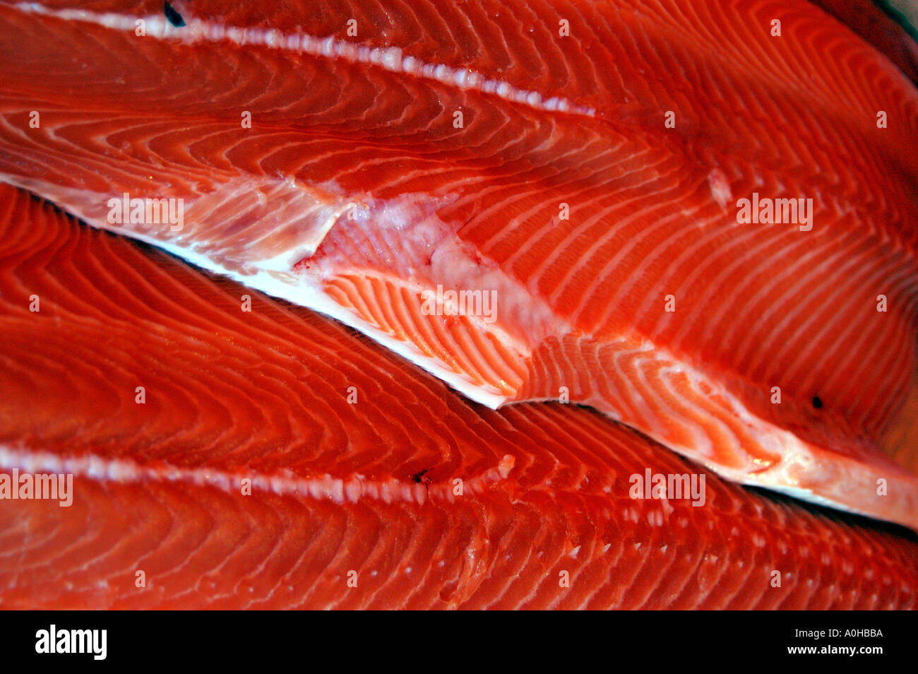 Fish at the Kauppatori Helsinki Finland Stock Photo