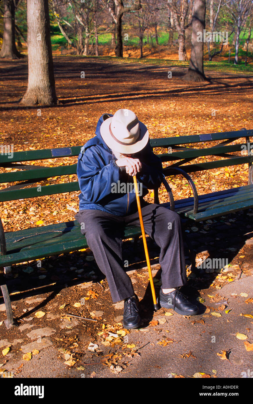 Central Park, New York. Elderly man with a cane sitting alone on a