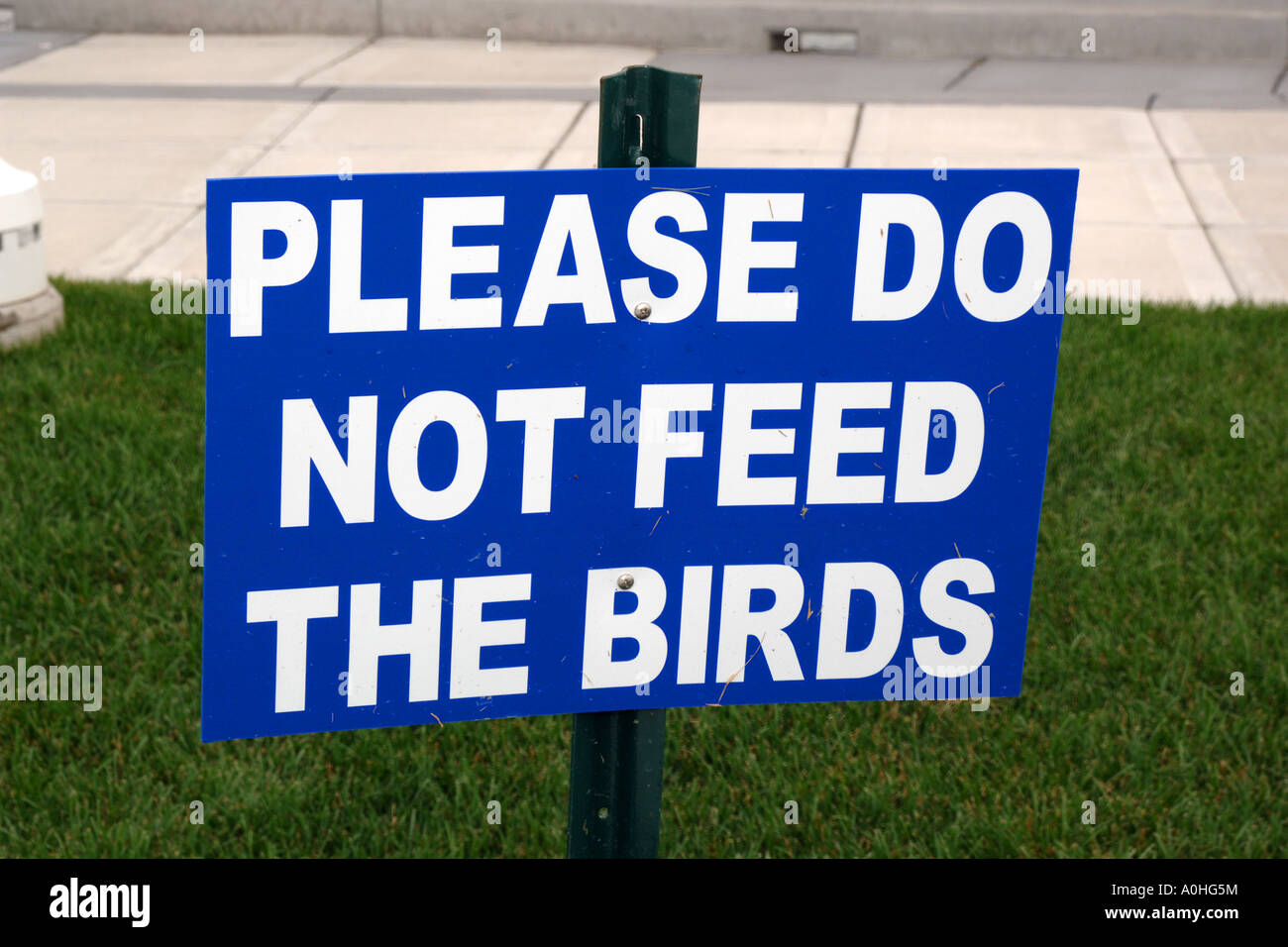 Please Do Not Feed The Birds Sign Stock Photo Alamy please-do-not-feed-the-birds-sign-stock-photo-alamy