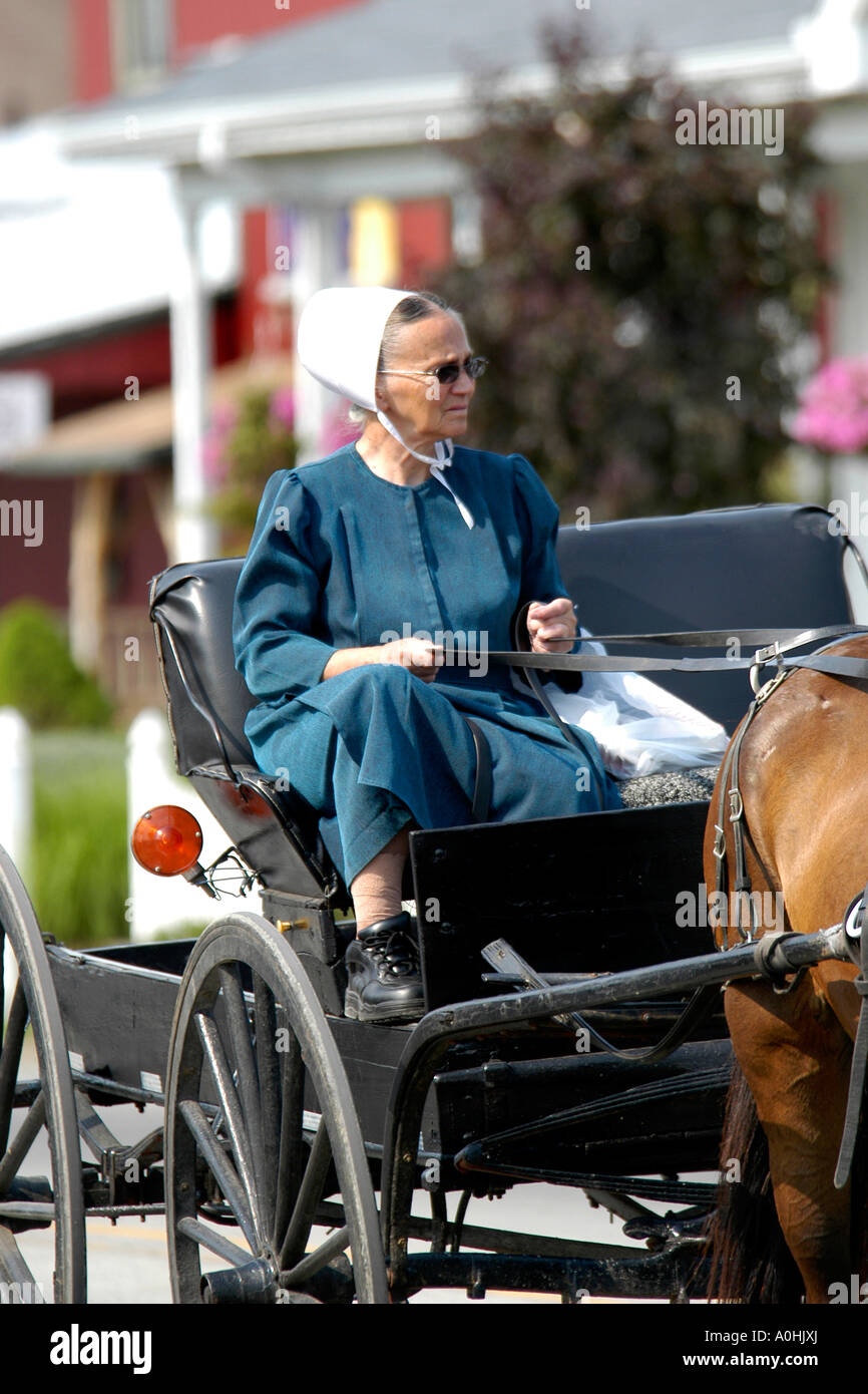 An amish family christmas gray