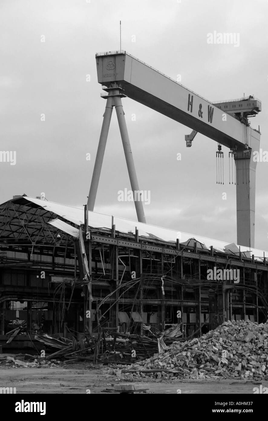 Harland and Wolff crane stands proud above the ship yard undergoing demolition Stock Photo