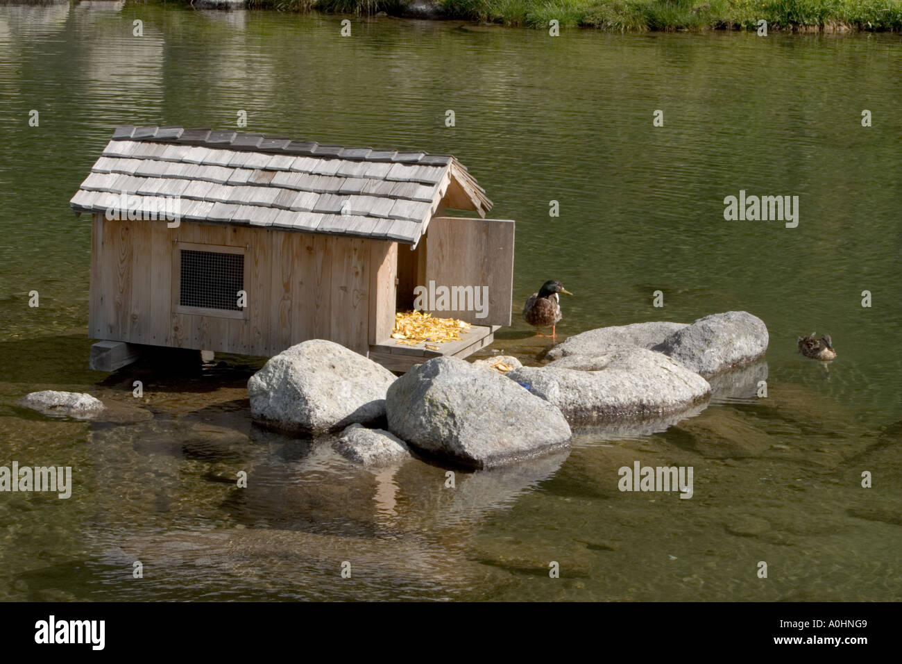Duck house by pond hires stock photography and images Alamy