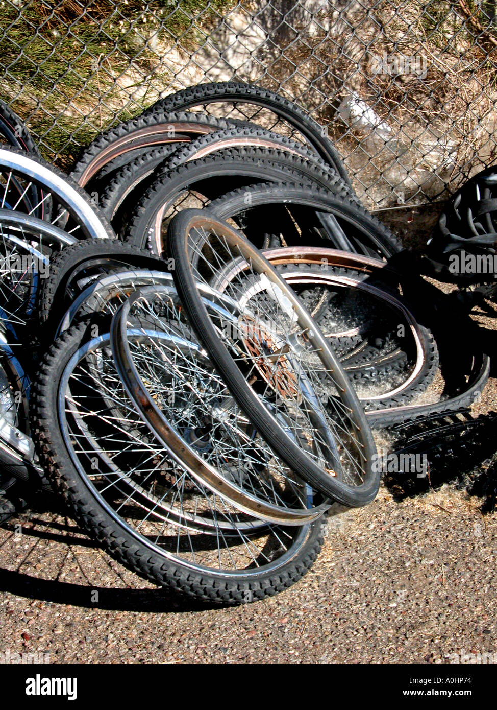 used bicycle wheels near me