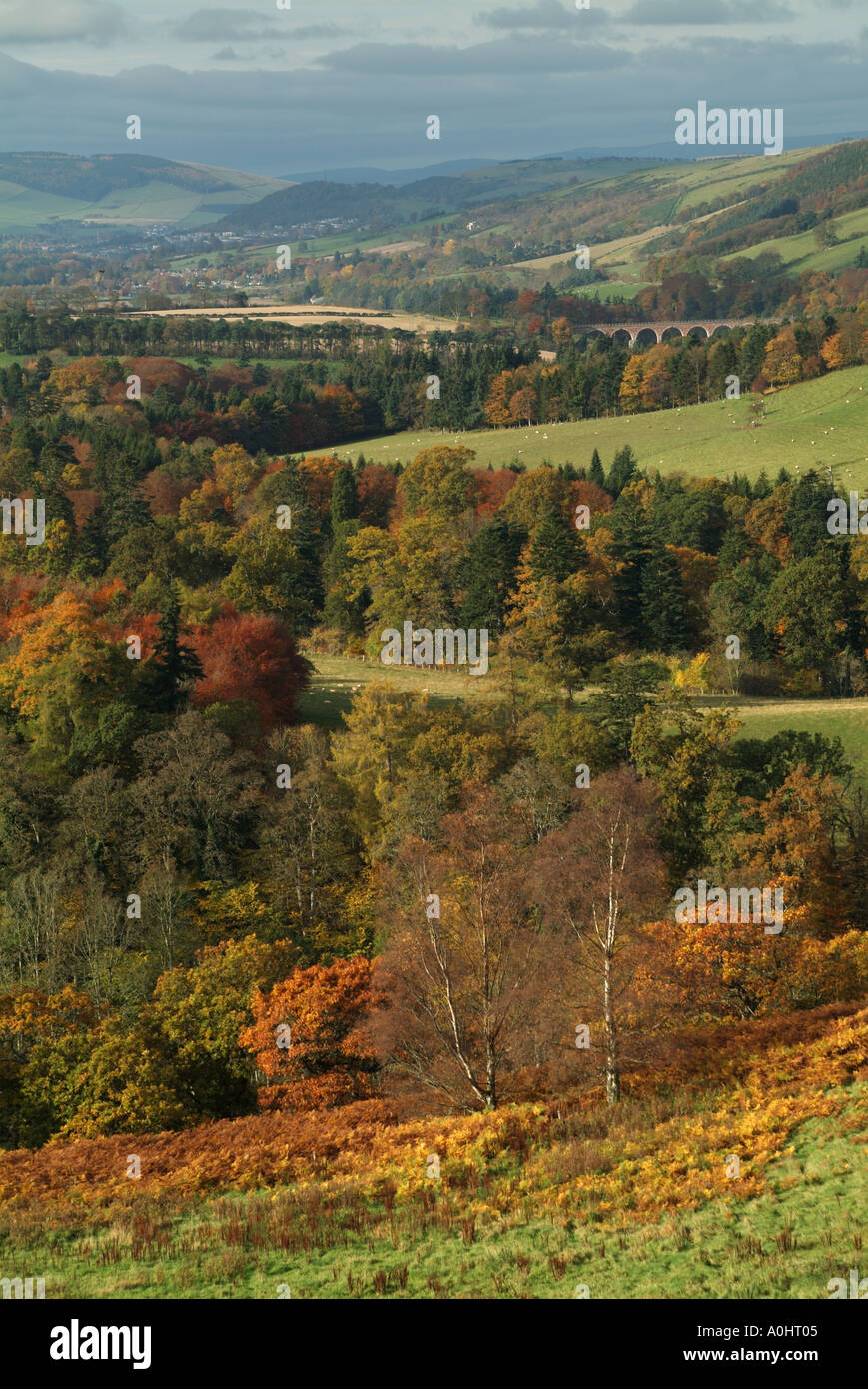 Scott's view autumn hi-res stock photography and images - Alamy