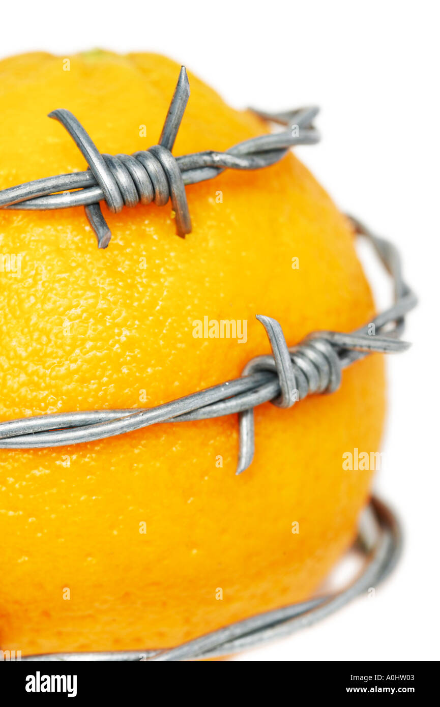 Barbed throat hires stock photography and images Alamy