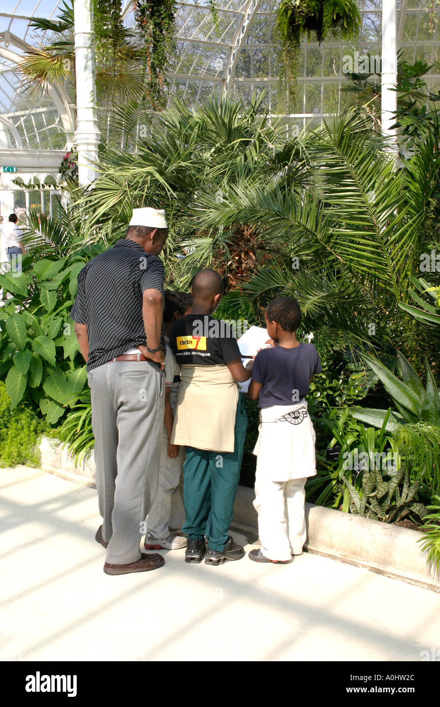 Afro Caribbean man and two boys in Palm House Sefton Park Liverpool Stock Photo