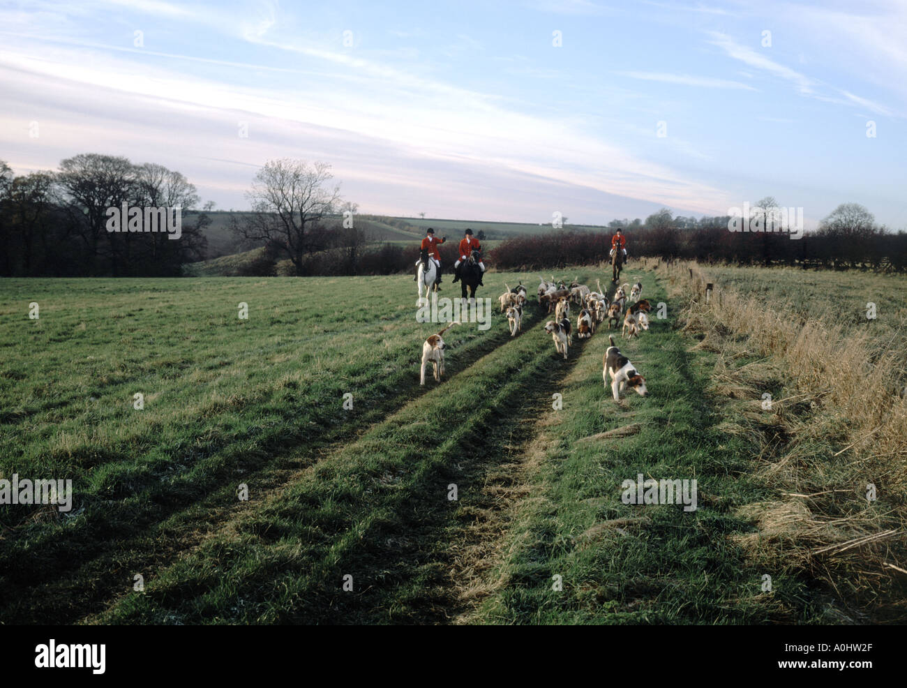 Huntmen and hounds make their way along a farm track in the Lincolnshire wolds Stock Photo