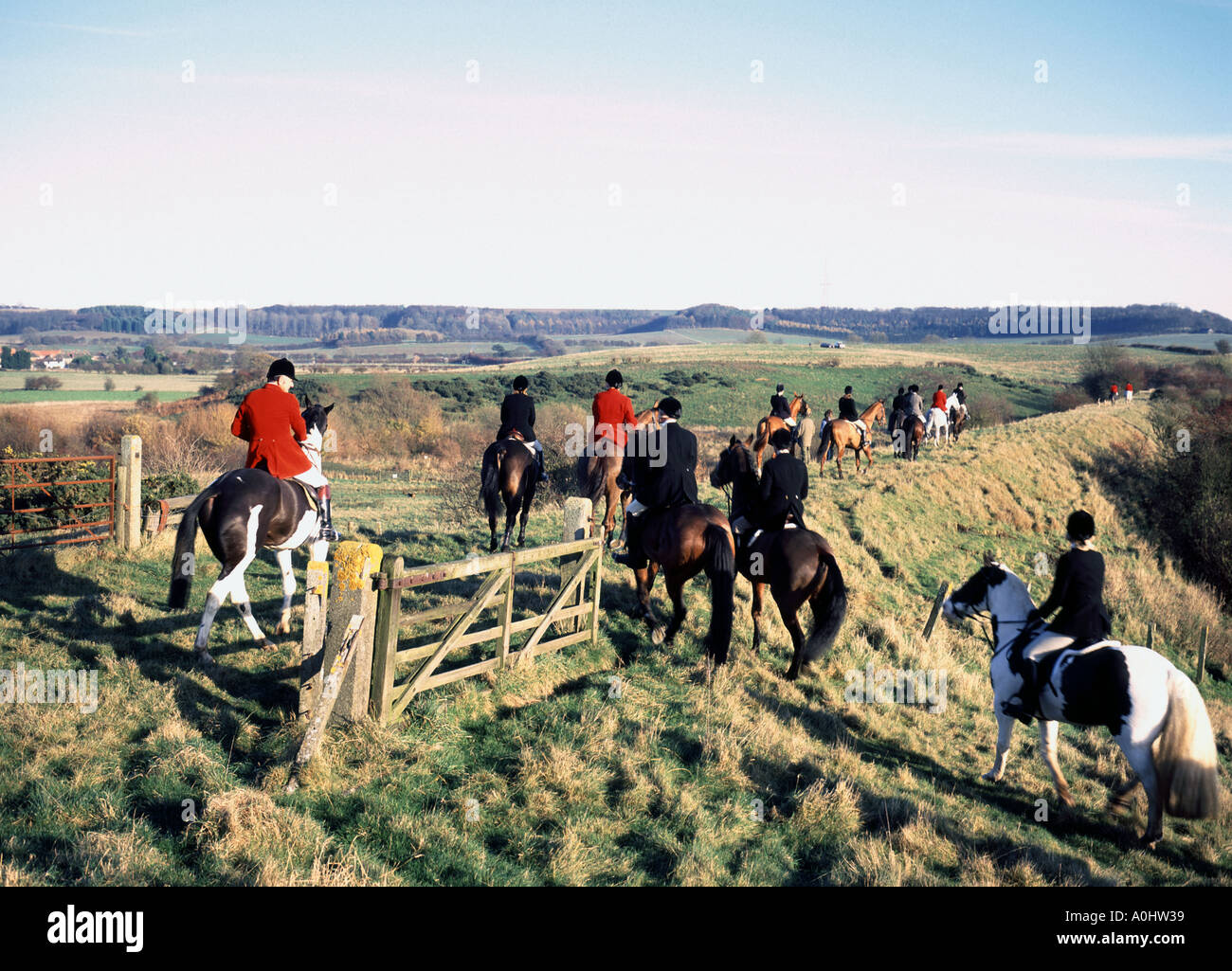 Foxhunting outing in the Lincolnshire wolds Stock Photo