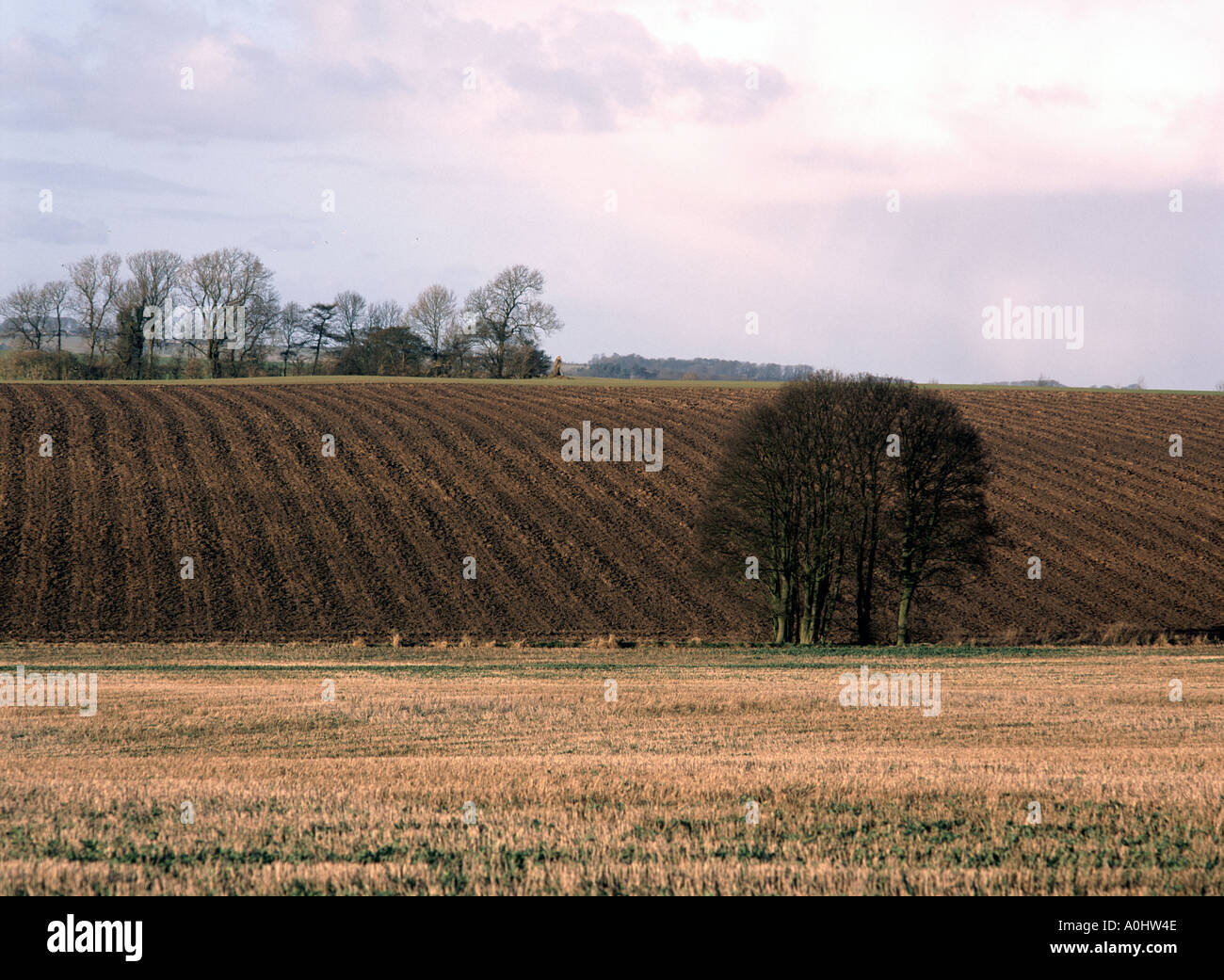 Seasons end ploughed field in the Lincolnshire Wolds Stock Photo