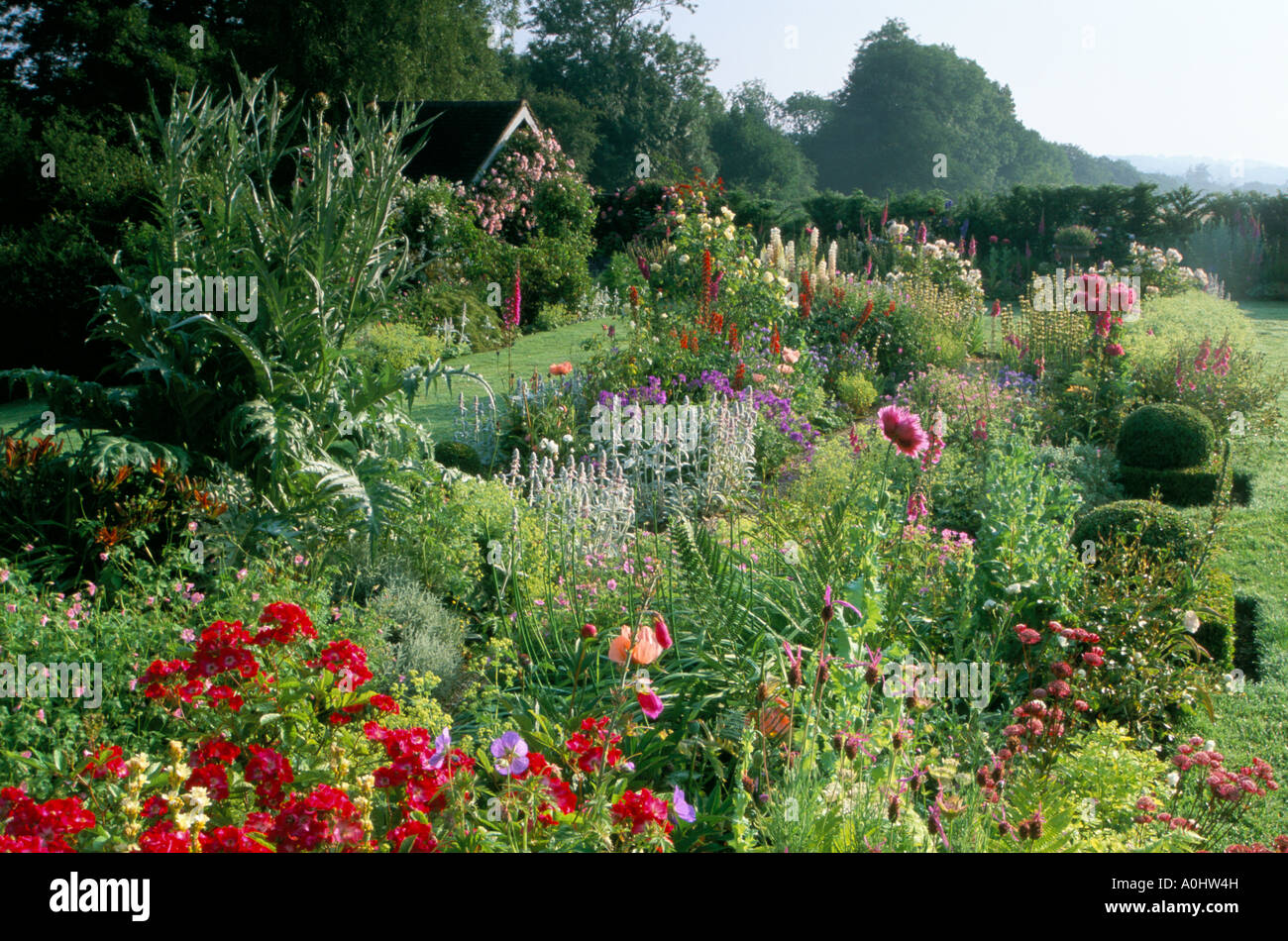 Sussex. Mixed border in summer. Roses, annuals and perennials Stock